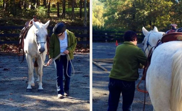 Women whisper to horses at Galleywinter Farm